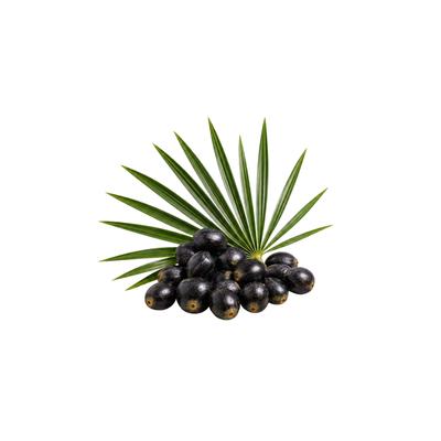 Saw Palmetto