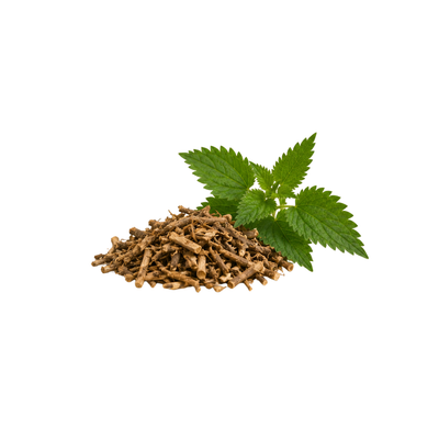 Nettle Root