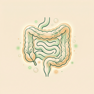 Soothe the gut