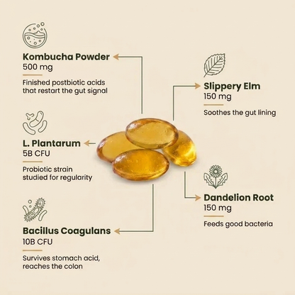 Kombucha Gut Restore Softgels