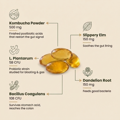 Kombucha Gut Restore Softgels