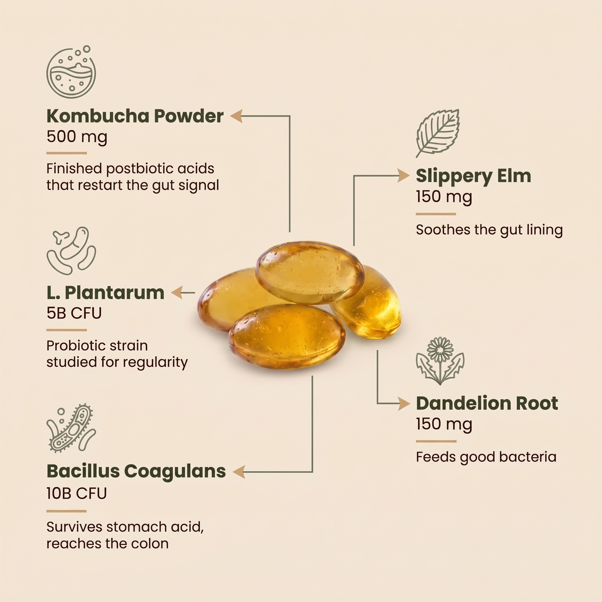 Kombucha Gut Restore Softgels