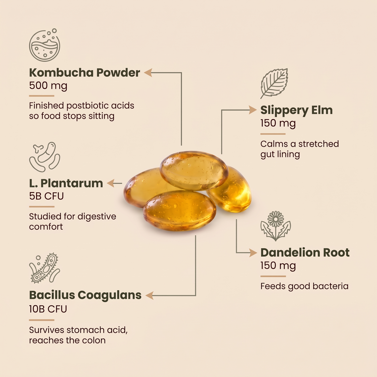 Kombucha Gut Restore Softgels